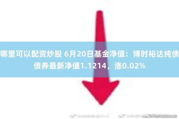 哪里可以配资炒股 6月20日基金净值：博时裕达纯债债券最新净值1.1214，涨0.02%