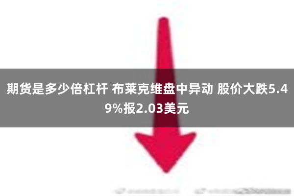 期货是多少倍杠杆 布莱克维盘中异动 股价大跌5.49%报2.03美元