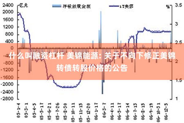 什么叫融资杠杆 美锦能源: 关于不向下修正美锦转债转股价格的公告