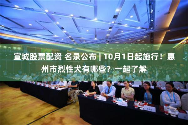 宣城股票配资 名录公布 | 10月1日起施行！惠州市烈性犬有哪些？一起了解