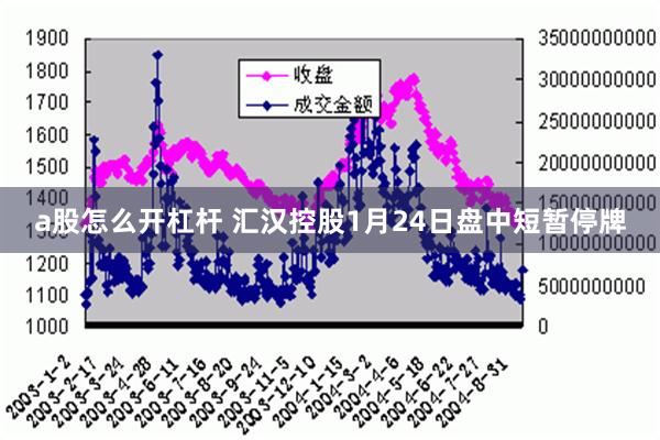 a股怎么开杠杆 汇汉控股1月24日盘中短暂停牌