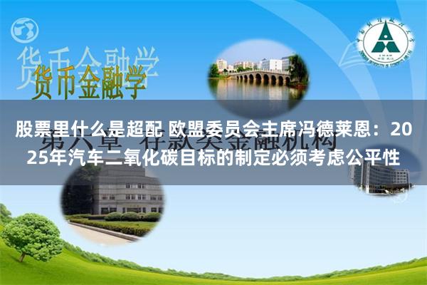 股票里什么是超配 欧盟委员会主席冯德莱恩：2025年汽车二氧化碳目标的制定必须考虑公平性